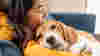 A woman comforting as beagle dog, having a hug on a sofa